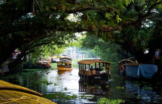 Alleppey Canal