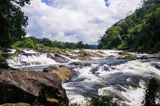 Vazhachal