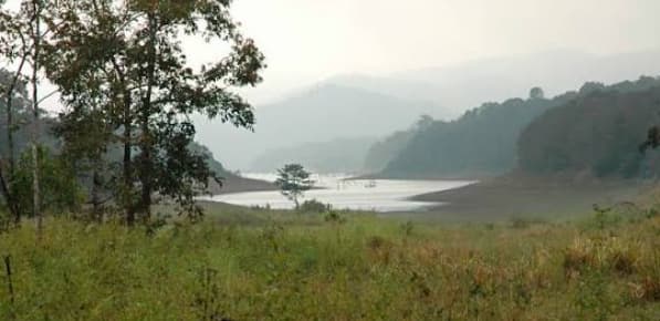 Periyar Forest