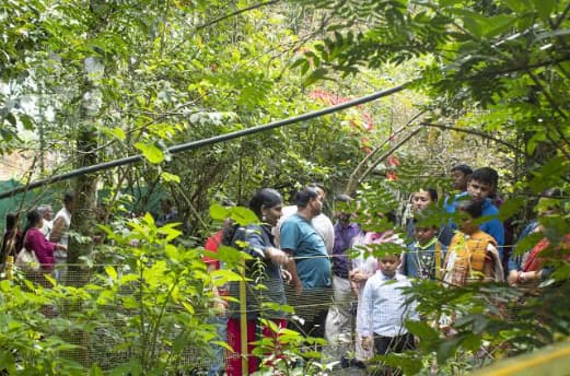 Spice Plantation