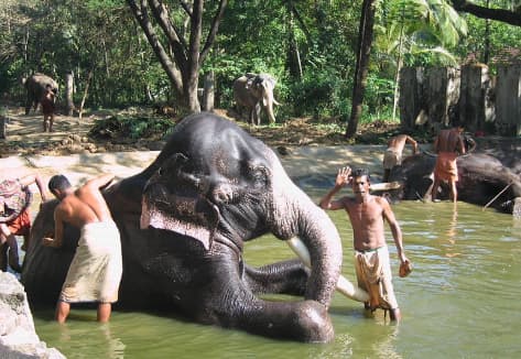 Punnathur Kotta