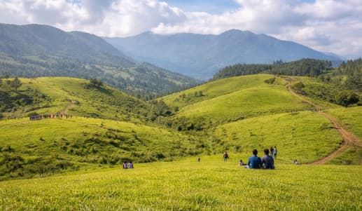 Vagamon Meadows